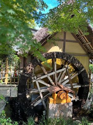 山岡鈴蘭の写メ日記｜ローテンブルク 吉原高級店ソープ