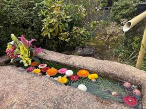 宝生 雫の写メ日記｜ローテンブルク 吉原高級店ソープ