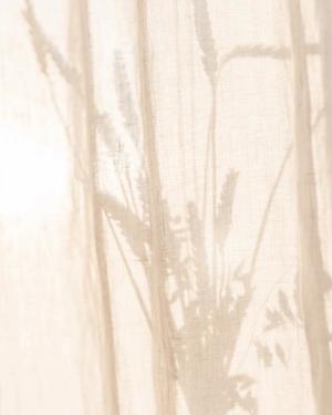 八木香苗の写メ日記｜ローテンブルク 吉原高級店ソープ