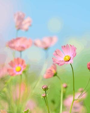 八木香苗の写メ日記｜ローテンブルク 吉原高級店ソープ