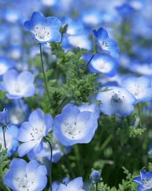 八木香苗の写メ日記｜ローテンブルク 吉原高級店ソープ