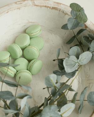 八木香苗の写メ日記｜ローテンブルク 吉原高級店ソープ