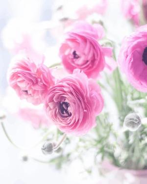 八木香苗の写メ日記｜ローテンブルク 吉原高級店ソープ