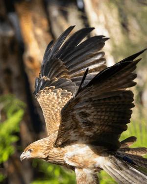 八木香苗の写メ日記｜ローテンブルク 吉原高級店ソープ
