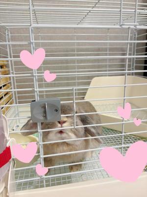 雪平奈々の写メ日記｜ローテンブルク 吉原高級店ソープ