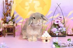 雪平奈々の写メ日記｜ローテンブルク 吉原高級店ソープ