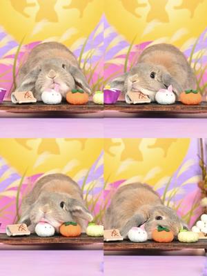 雪平奈々の写メ日記｜ローテンブルク 吉原高級店ソープ