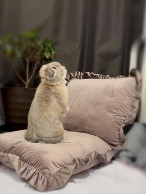 雪平奈々の写メ日記｜ローテンブルク 吉原高級店ソープ