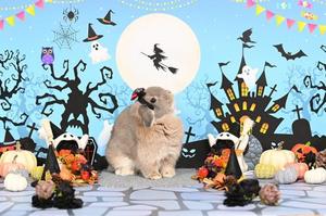 雪平奈々の写メ日記｜ローテンブルク 吉原高級店ソープ