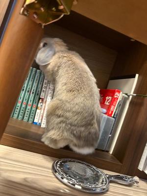 雪平奈々の写メ日記｜ローテンブルク 吉原高級店ソープ