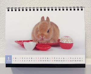 雪平奈々の写メ日記｜ローテンブルク 吉原高級店ソープ