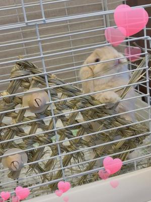 雪平奈々の写メ日記｜ローテンブルク 吉原高級店ソープ