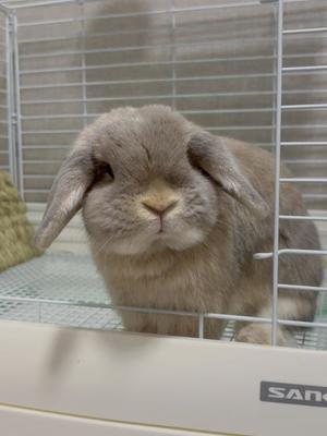 雪平奈々の写メ日記｜ローテンブルク 吉原高級店ソープ