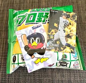 長澤舞美の写メ日記|ローテンブルク 吉原高級店ソープ