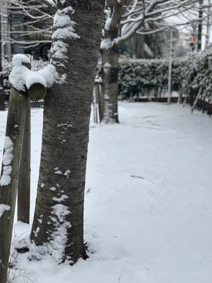 長澤舞美の写メ日記｜ローテンブルク 吉原高級店ソープ