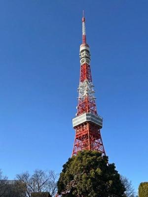 長澤舞美の写メ日記｜ローテンブルク 吉原高級店ソープ