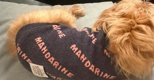 長澤舞美の写メ日記｜ローテンブルク 吉原高級店ソープ