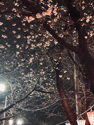 長澤舞美の写メ日記｜ローテンブルク 吉原高級店ソープ