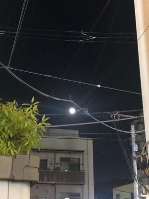 高梨莉緒の写メ日記｜ローテンブルク 吉原高級店ソープ