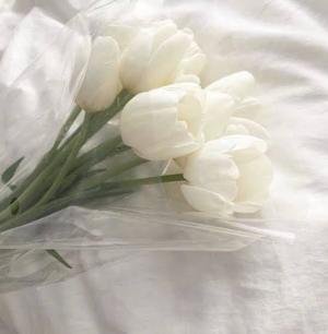 れおの写メ日記｜ローテンブルク 吉原高級店ソープ