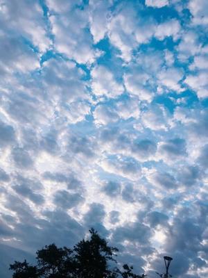芽吹エマの写メ日記｜ローテンブルク 吉原高級店ソープ