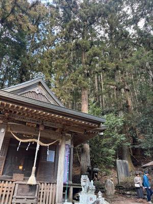 みかの写メ日記｜ローテンブルク 吉原高級店ソープ