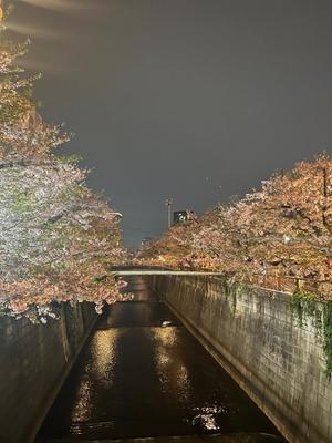 菜々穂の写メ日記｜ローテンブルク 吉原高級店ソープ