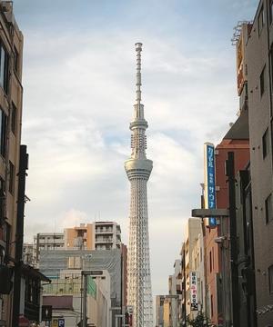 瑞木瑠華の写メ日記｜ローテンブルク 吉原高級店ソープ