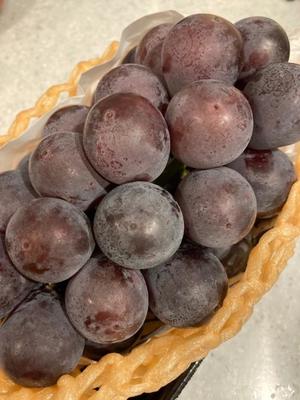 伊原知花の写メ日記｜ローテンブルク 吉原高級店ソープ