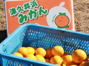 伊原知花の写メ日記｜ローテンブルク 吉原高級店ソープ