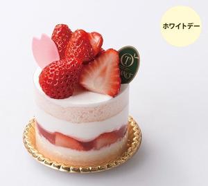 伊原知花の写メ日記｜ローテンブルク 吉原高級店ソープ