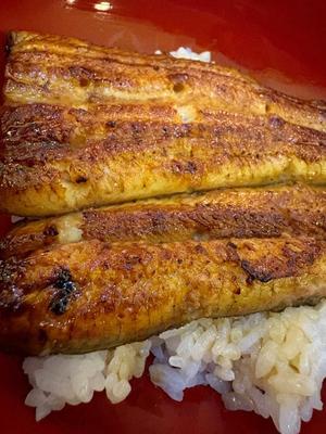 伊原知花の写メ日記｜ローテンブルク 吉原高級店ソープ