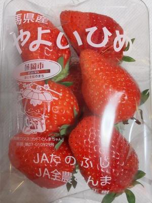 菊島ゆなの写メ日記｜ローテンブルク 吉原高級店ソープ