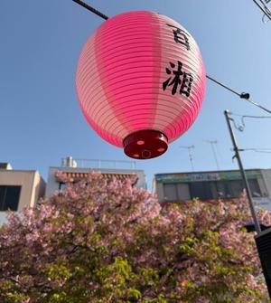 菊島ゆなの写メ日記｜ローテンブルク 吉原高級店ソープ