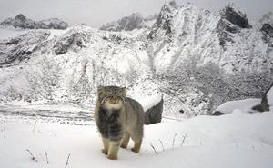 山脇かずみの写メ日記｜ローテンブルク 吉原高級店ソープ