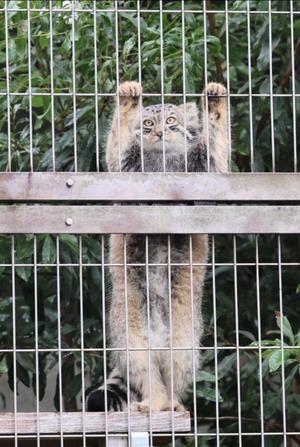 山脇かずみの写メ日記｜ローテンブルク 吉原高級店ソープ
