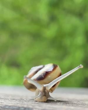 小栗彩矢の写メ日記｜ローテンブルク 吉原高級店ソープ