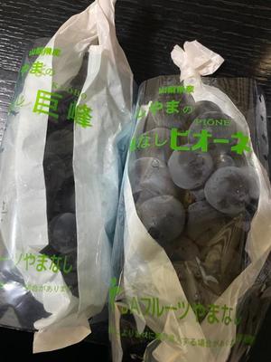 小栗彩矢の写メ日記｜ローテンブルク 吉原高級店ソープ