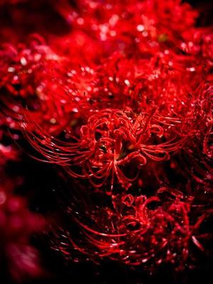 小栗彩矢の写メ日記｜ローテンブルク 吉原高級店ソープ