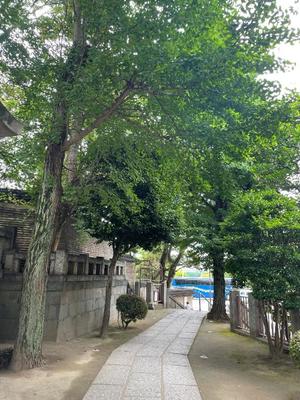 小栗彩矢の写メ日記｜ローテンブルク 吉原高級店ソープ