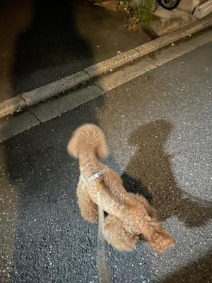 小栗彩矢の写メ日記｜ローテンブルク 吉原高級店ソープ