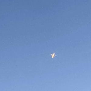 小栗彩矢の写メ日記｜ローテンブルク 吉原高級店ソープ