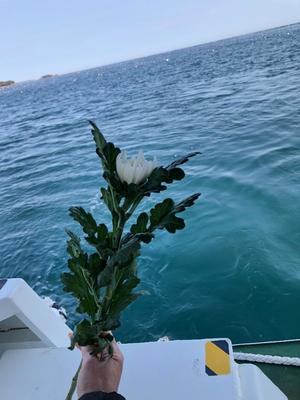 小栗彩矢の写メ日記｜ローテンブルク 吉原高級店ソープ