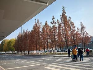 風見優花の写メ日記｜ローテンブルク 吉原高級店ソープ