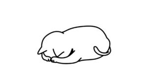 百瀬心結の写メ日記｜ローテンブルク 吉原高級店ソープ