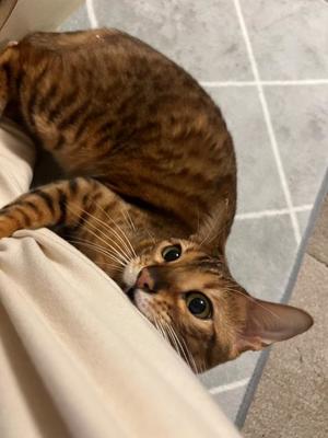 石川あさ美の写メ日記｜ローテンブルク 吉原高級店ソープ