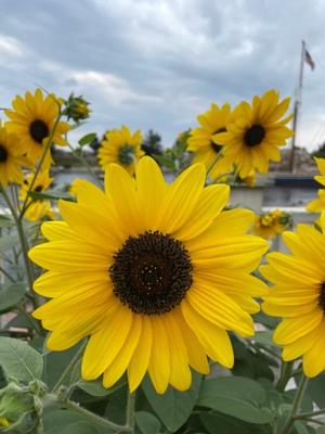 美影里英の写メ日記｜ローテンブルク 吉原高級店ソープ