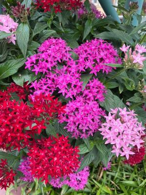 美影里英の写メ日記｜ローテンブルク 吉原高級店ソープ