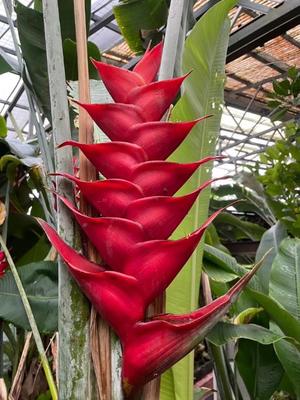 美影里英の写メ日記｜ローテンブルク 吉原高級店ソープ