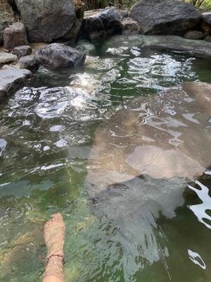 美影里英の写メ日記｜ローテンブルク 吉原高級店ソープ